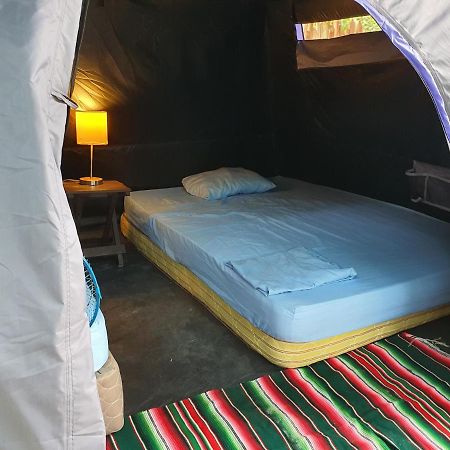 Camping Del Ritmo & Kite Club Hotel El Cuyo Kültér fotó